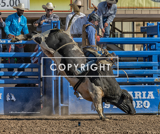 5 - Kyle Eaton - 2025 Santa Maria Elks Rodeo