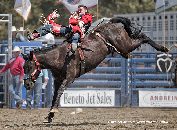Shane O'Connell On 045 Colt 45 RO