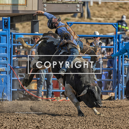 13 - Kyle Eaton - 2025 Santa Maria Elks Rodeo